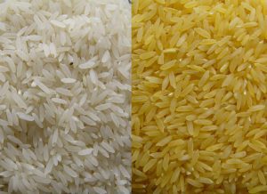 goldenrice