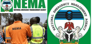 nema