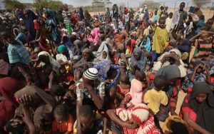 2-000-persons-displaced-by-cattle-rustlers-in-niger-dg