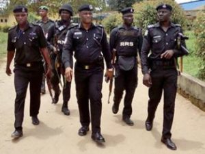 Dleta Monarch rescued