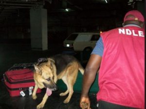 ndlea-operative-e1460031325809