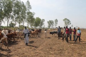 2016-11-20T171305Z_1_LYNXMPECAJ0JQ_RTROPTP_4_MALI-FULANI
