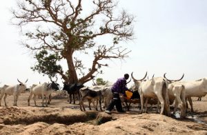 Fulani-Herdmen-690×450