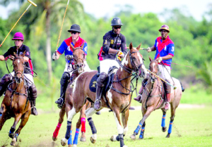 Polo