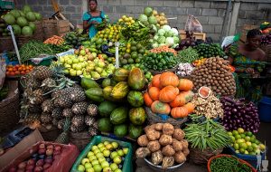 1-fruit-market_WM