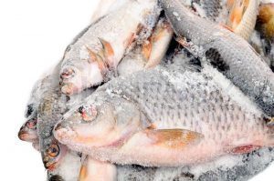 Frozen-fish