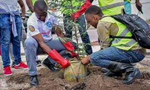 Tree-planting-