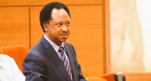 June 12, seed of Nigeria’s struggle for democracy – Shehu Sani