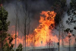 Fire and smoke is seen on the IC8 motorway during a forest fire near Pedrogao Grande