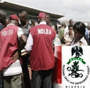 NDLEA Ondo