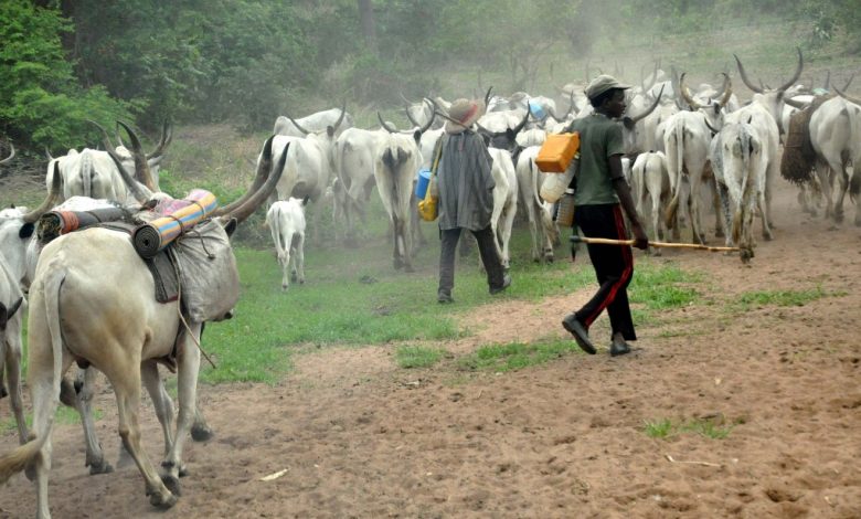 police-unveil-tracking-technology-to-curb-cattle-rustling-tvc-news