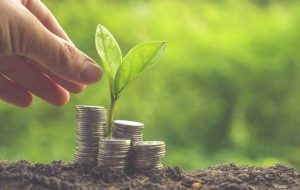 Green Economy