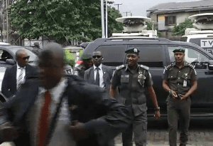 IGP TVC News