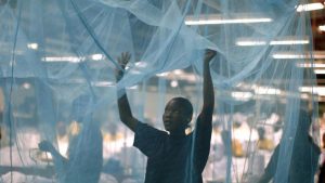 Insecticide-Net-tvcnews