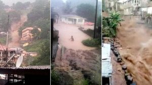 Sierra Leone At Least 250 Bodies Have Been Buried in A Mass Grave in Waterloo