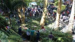 Tree-Which-Killed-12-People-In-Madeira-e1502882266670