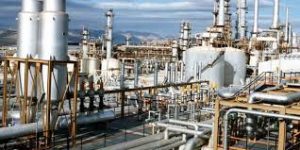 NIPP plants