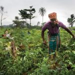 Women farmers -TVC