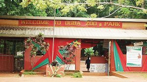 Ogba-zoo-TVCNews