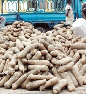 yam-export
