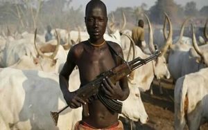 Fulaniherdsman -TVC