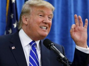 Donald Pal