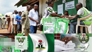 Edo-INEC-3-1