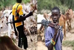 Fulani-Herdsmen- TVC