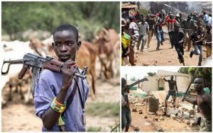 Herdsmen Amnesty
