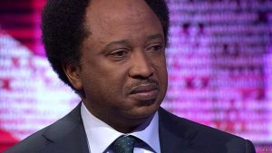 Shehu-Sani3