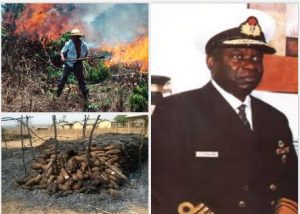 herdsmen burn