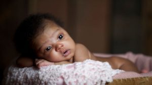 neonate