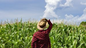 AgricultureInformationCentre-TVCNews