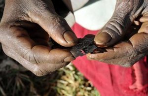 Female Genital Mutilation -TVC