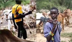 Fulani-Herdsmen-TVC