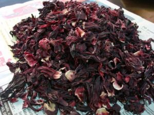 Hibiscus-TVCNews