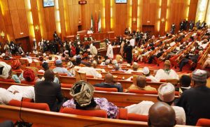 Senate INEC