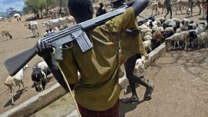 fulani-herdsmen-TVC