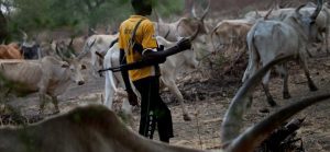 Herdsmen- TVC