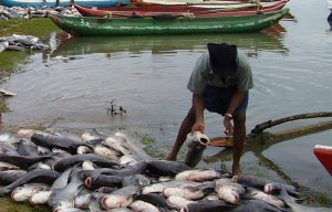 Fishing-TVCNews