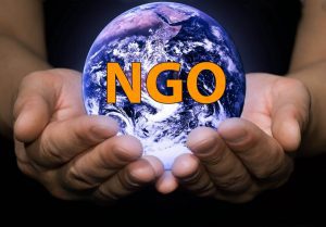 ngo-1024×712