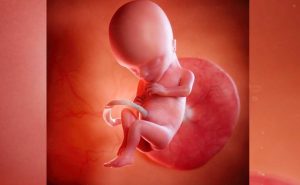 stop abortion TVC