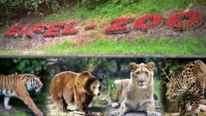 German Zoo