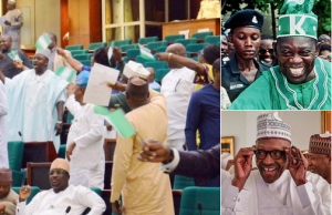 MKO Democracy