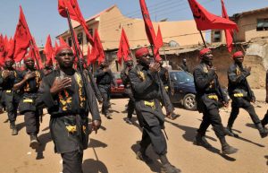 nigeria-IMN-