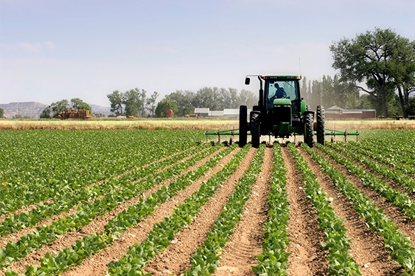 Experts urge politicians to invest in farming