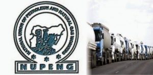 NUPENG-1