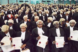 new-wigs-lawyers