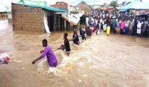 2017_7$large_Nigeria’s_newest_flood_of_tears