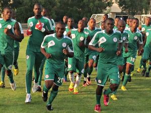 88d1bde2-golden-eaglets